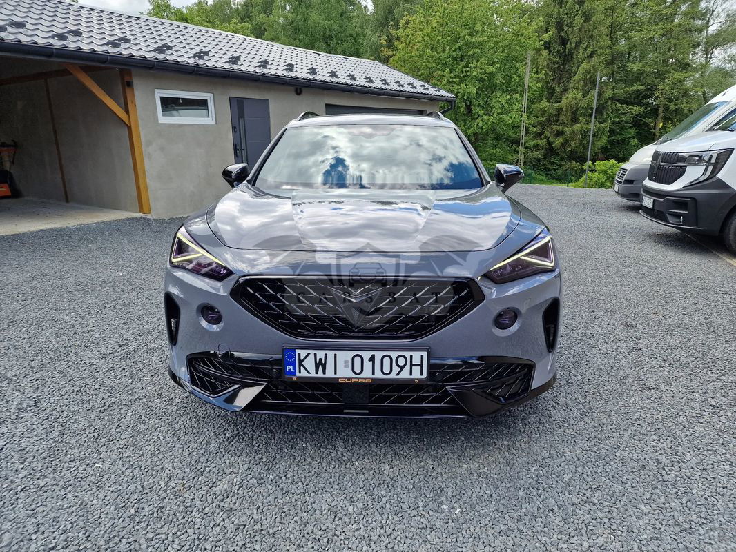 Cupra Formentor 2.0 TSI 4Drive VZ DSG 2020