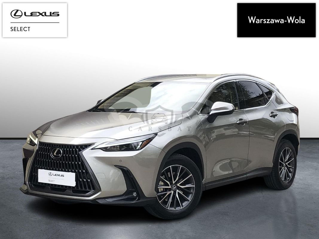 Lexus NX II 2023