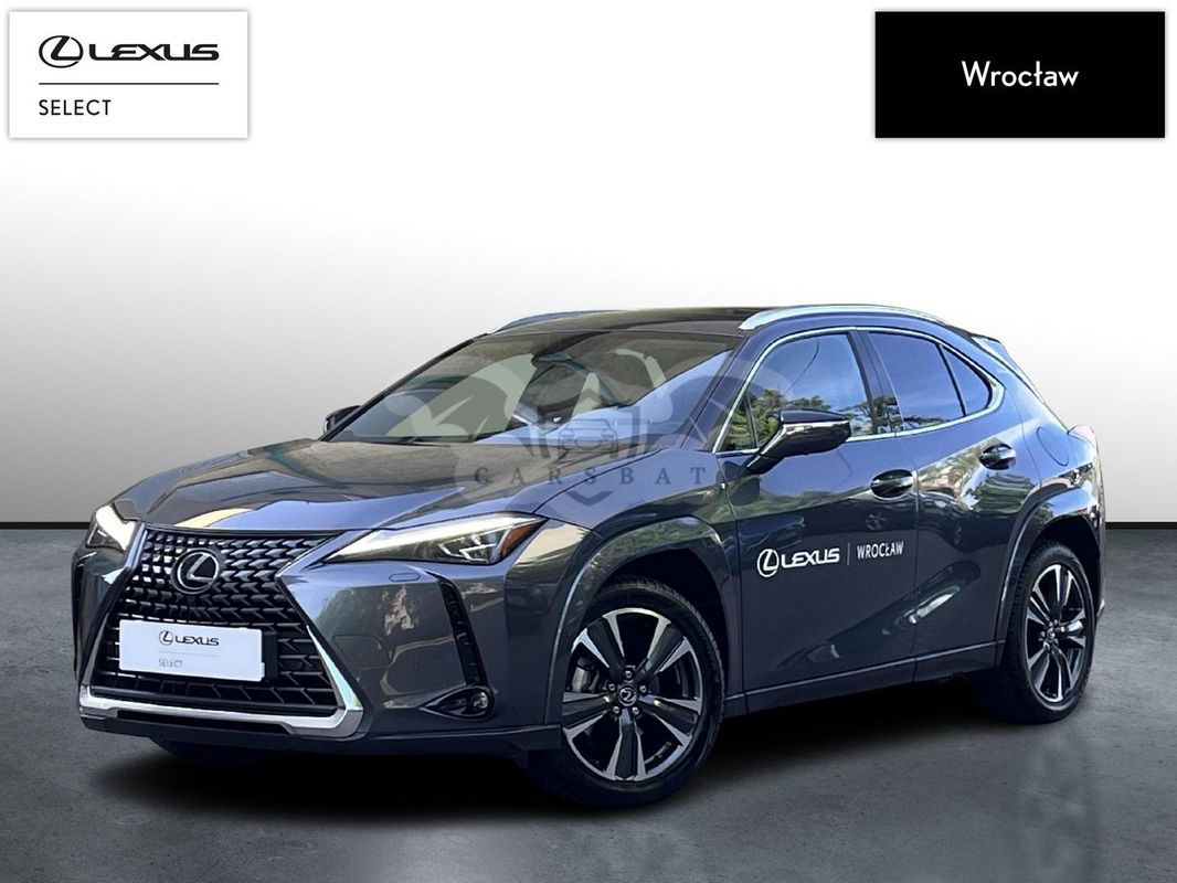 Lexus UX 2024