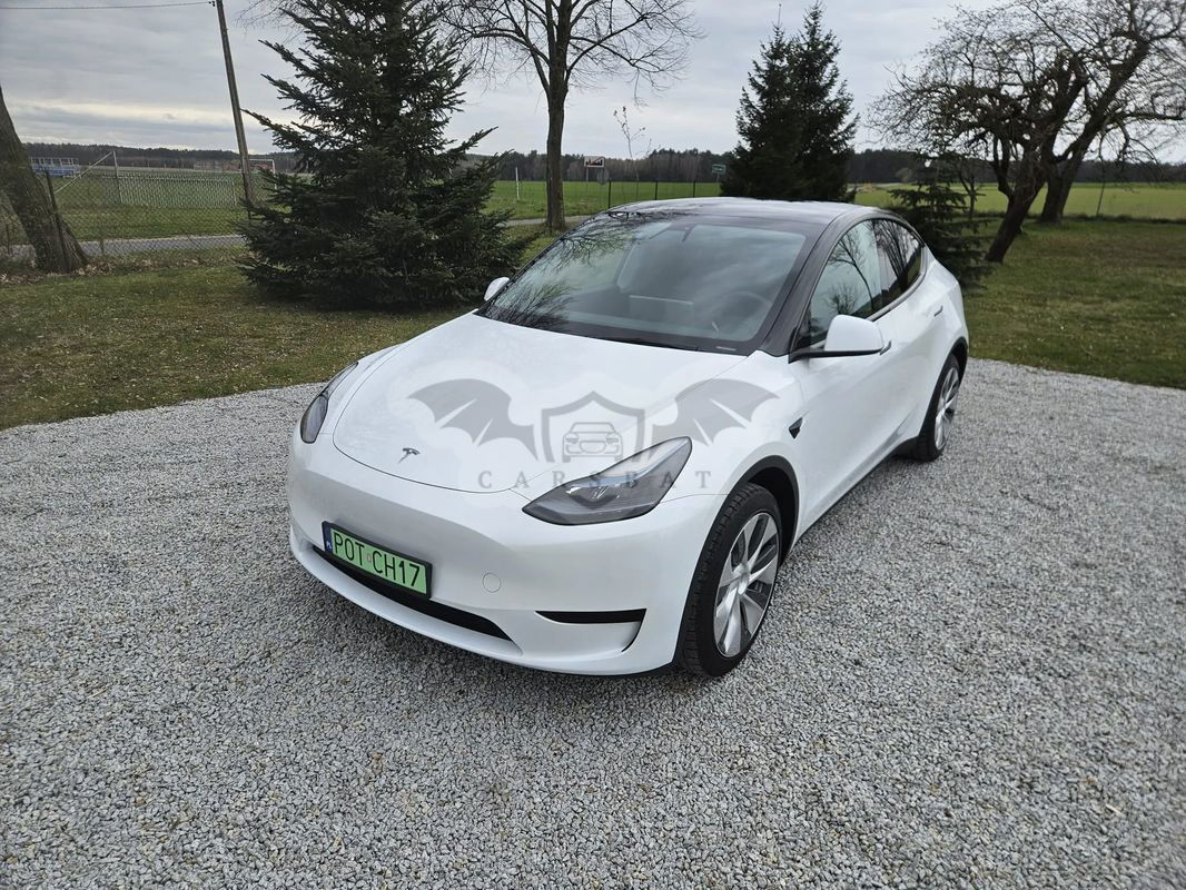 Tesla Model Y Model RWD 2023