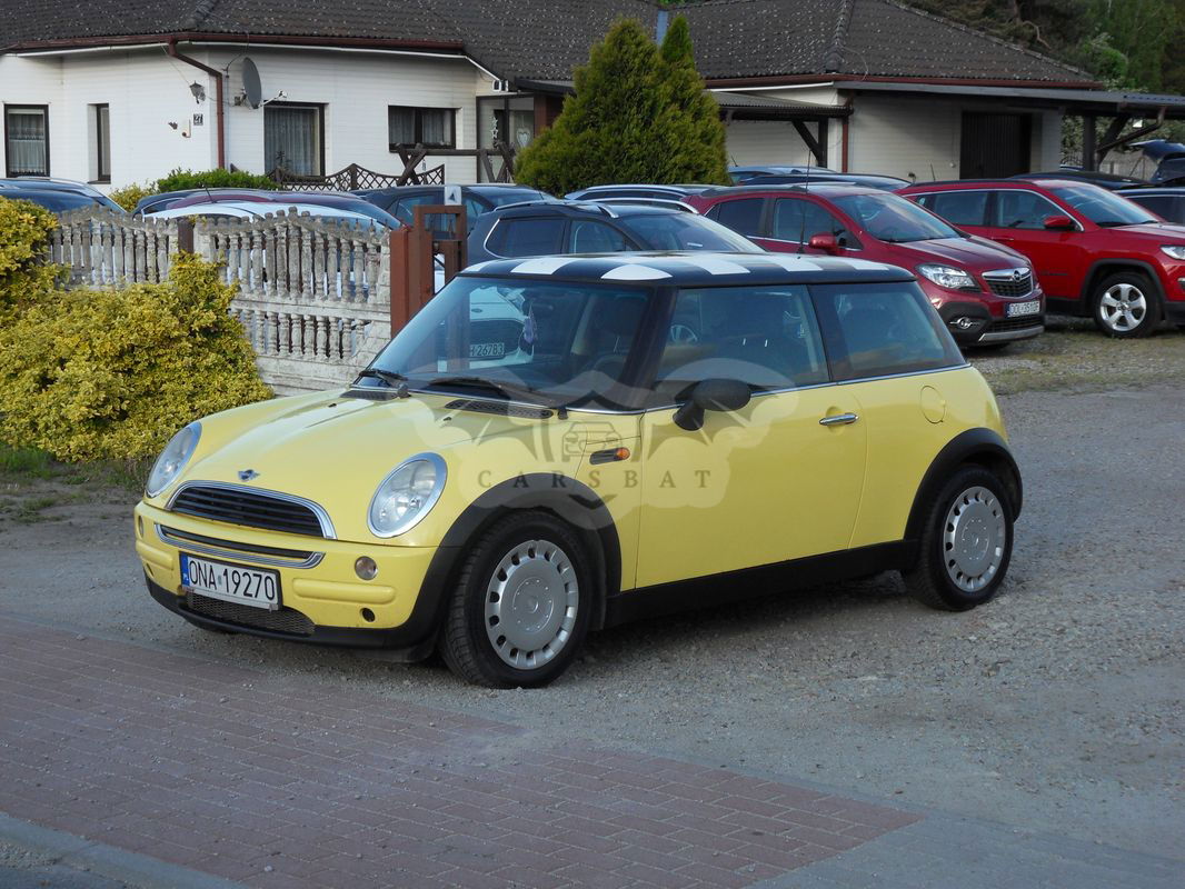 Mini One salt 2002
