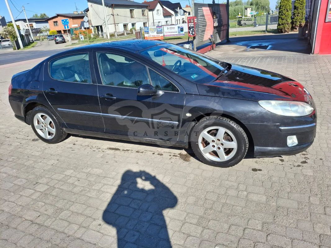Peugeot 407 2007