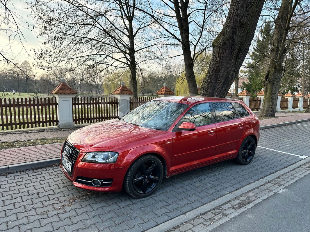 Audi A3 8P 1.6 TDI Sportback S tronic S line Sportpaket 2010