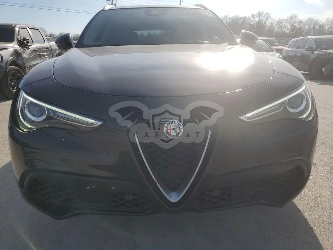 Alfa Romeo Stelvio 2.0 Turbo 16V AT8-Q4 Ti 2021