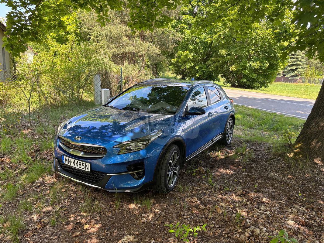Kia XCeed 1.6 CRDi mHEV L Business Line DCT 2020