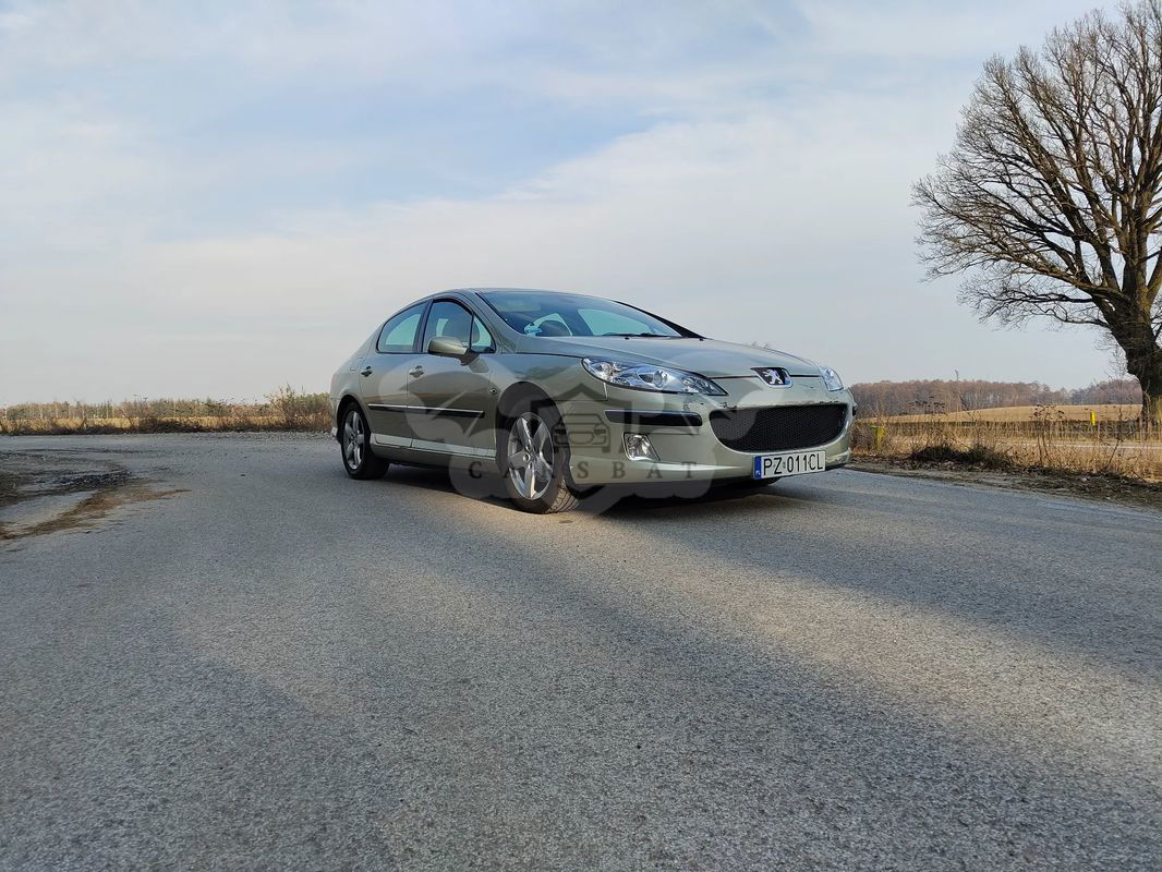 Peugeot 407 2007