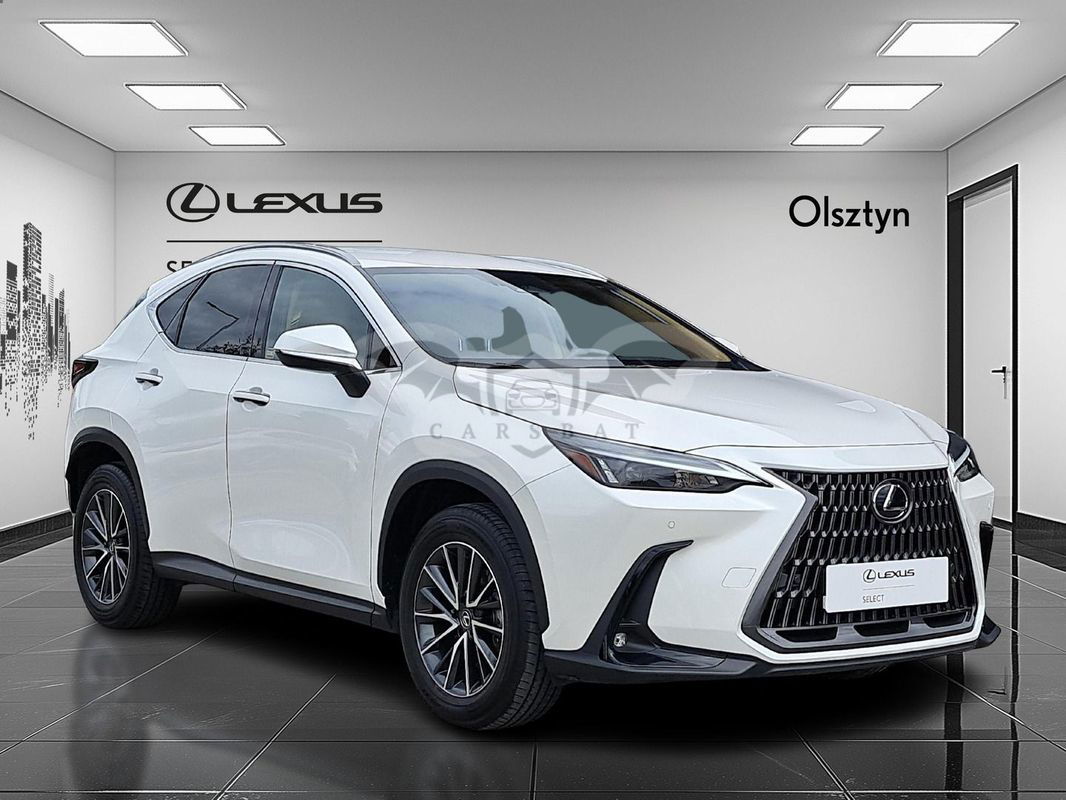 Lexus NX II 2023
