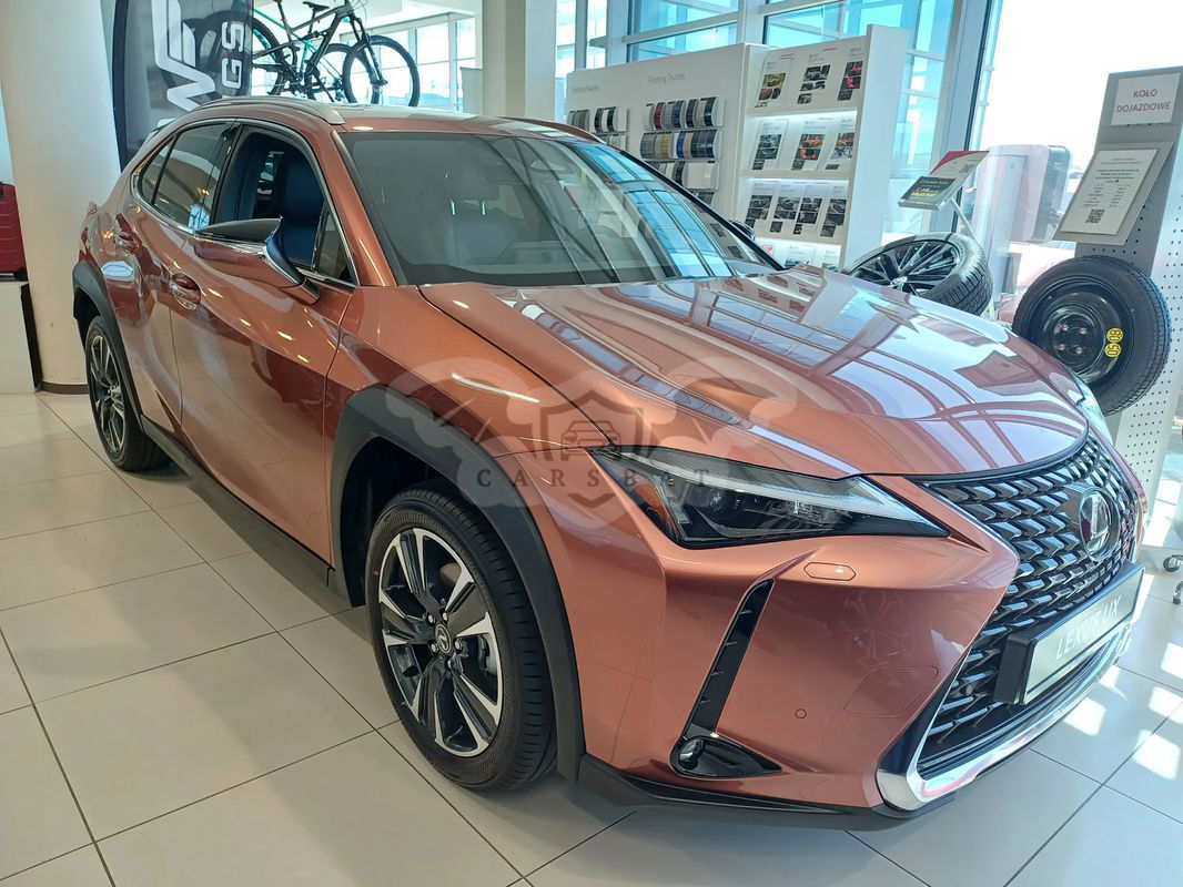 Lexus UX 300h Business 2024