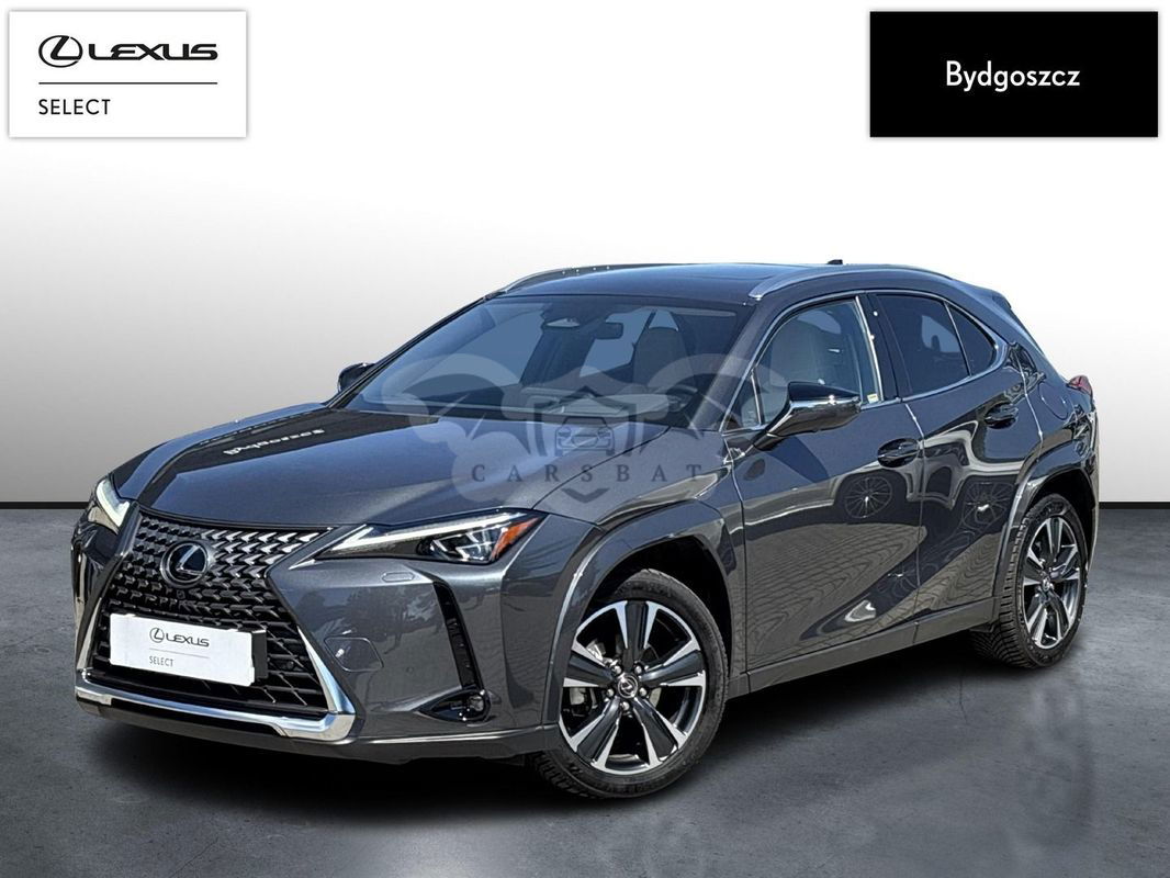 Lexus UX 2024