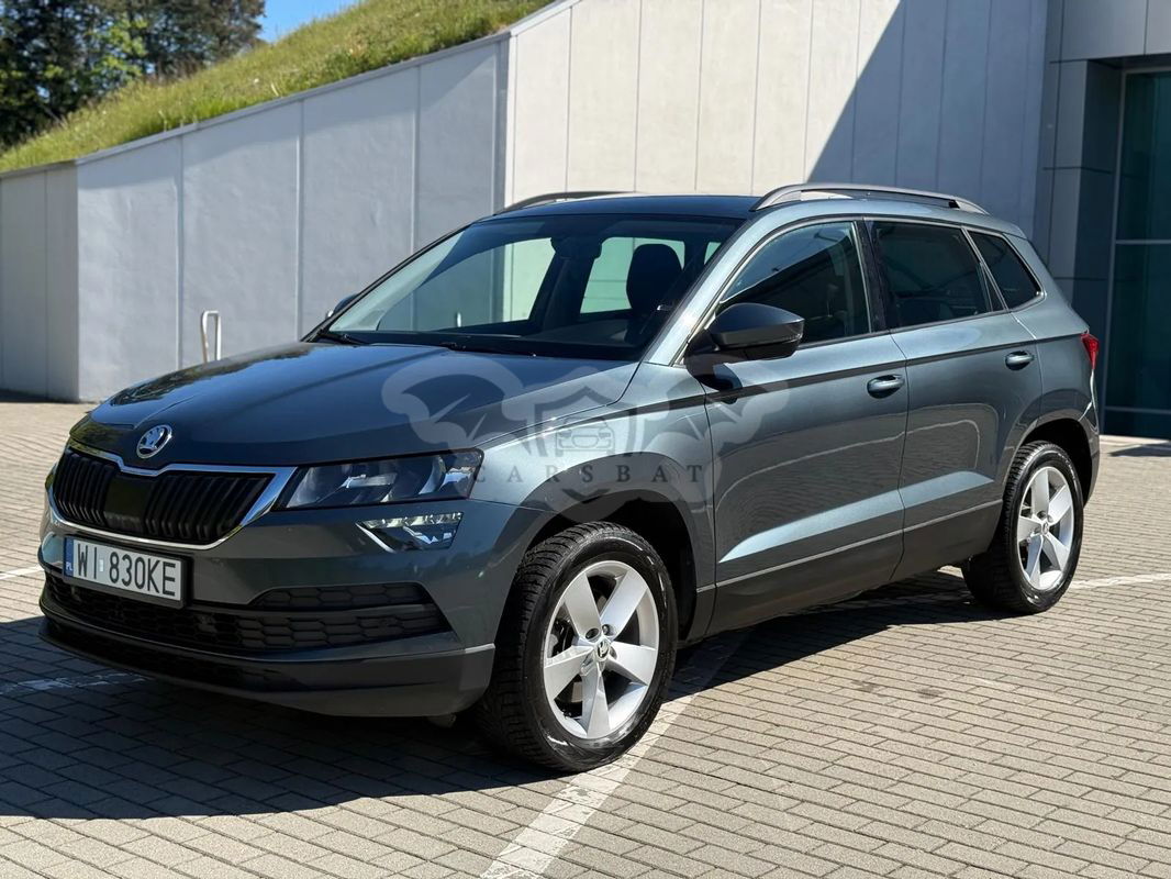 Skoda Karoq 2.0 TDI SCR 4x4 Ambition DSG 2019