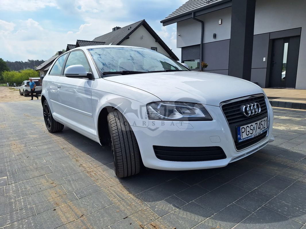 Audi A3 8P 1.6 Ambition 2009