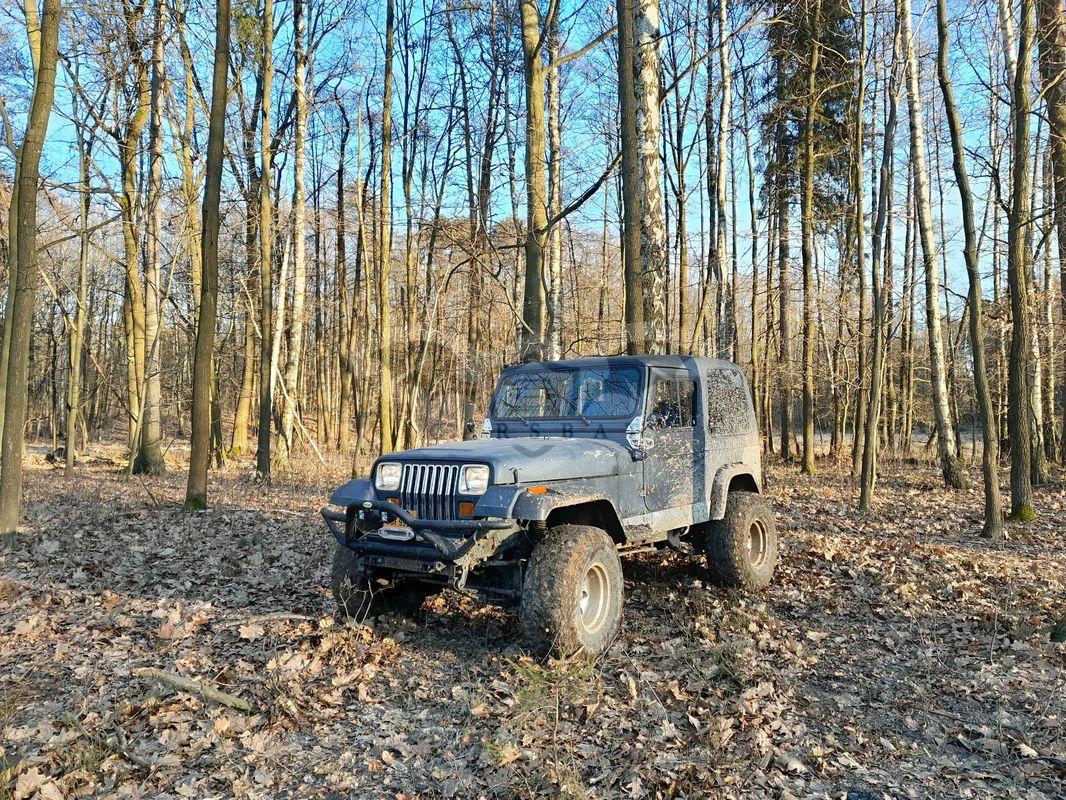 Jeep Wrangler I 2.5 Sport 1991