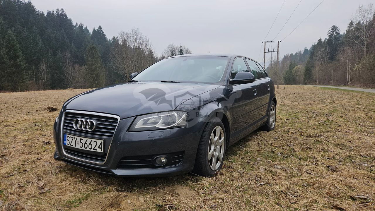 Audi A3 8P 1.6 TDI Sportback DPF Ambition 2010