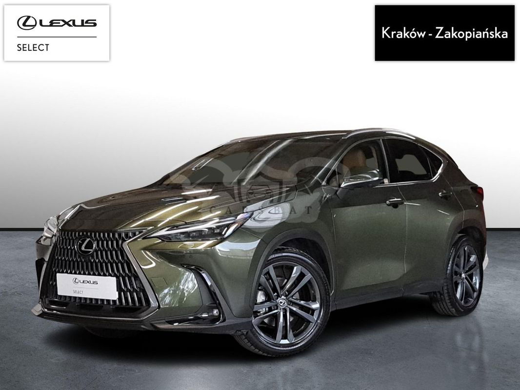 Lexus NX II 2023