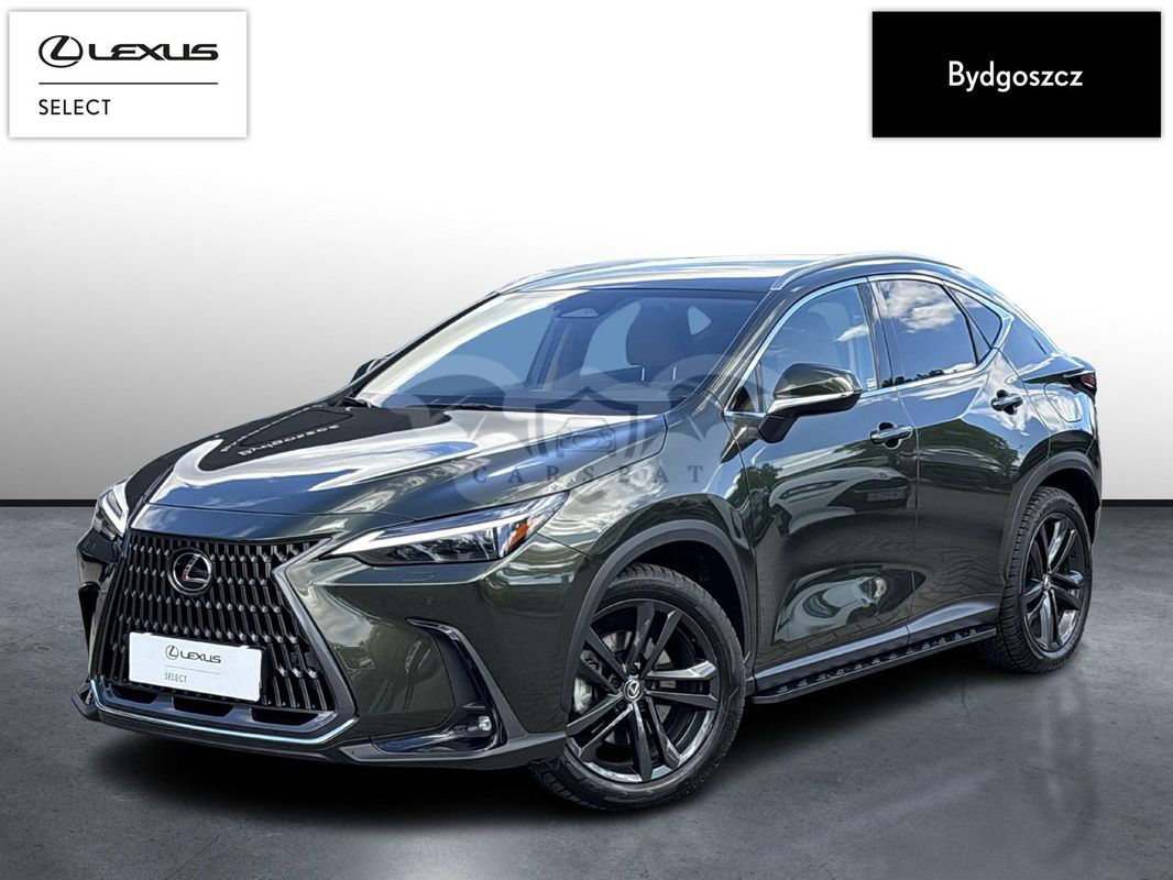 Lexus NX II 2024