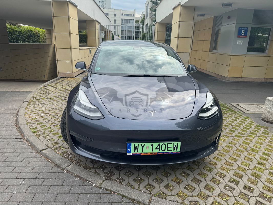 Tesla Model 3 2019