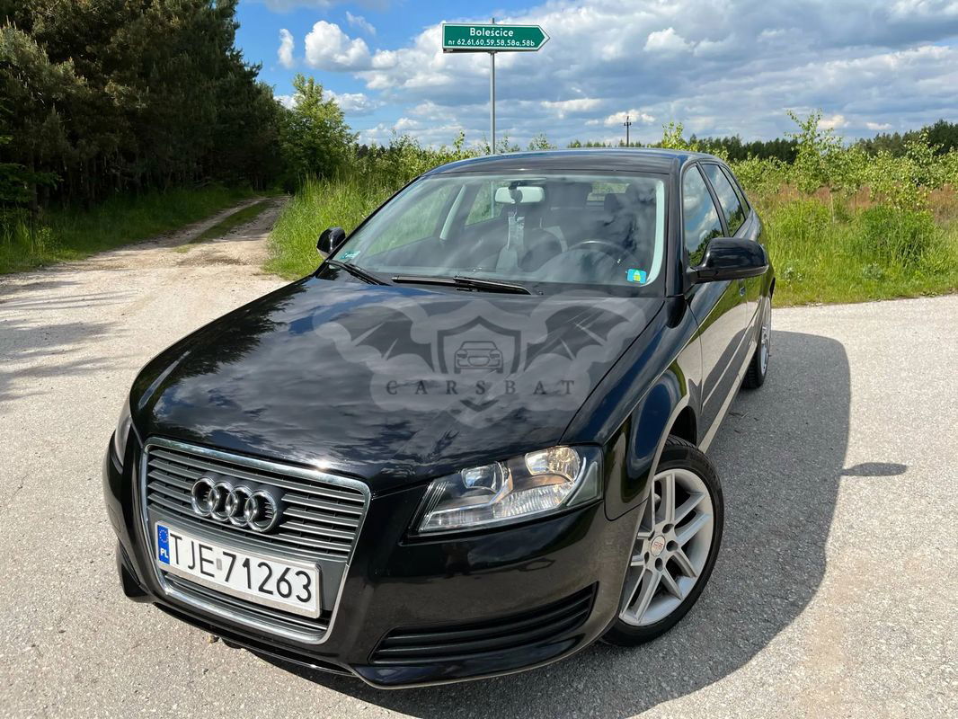 Audi A3 8P 1.9 TDI Ambition 2009