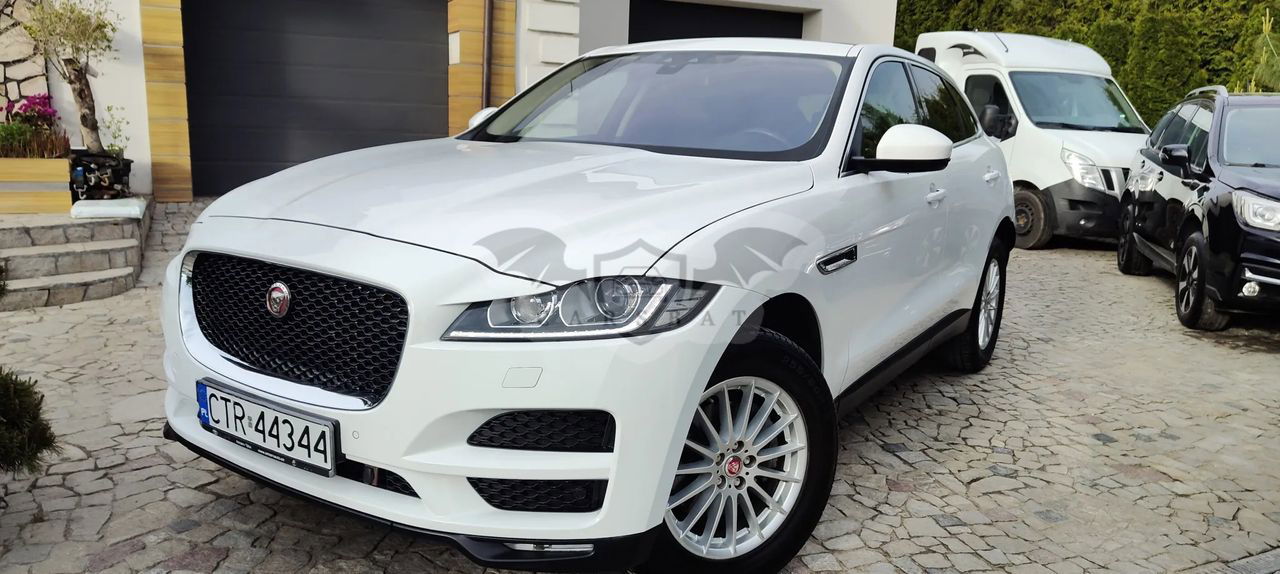Jaguar F-Pace 2.0 i4D AWD Pure 2019