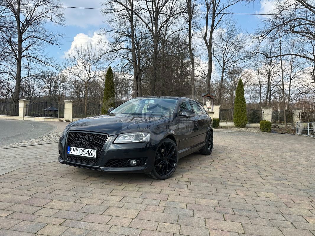 Audi A3 8P 1.9 TDI Sportback DPF Attraction 2009