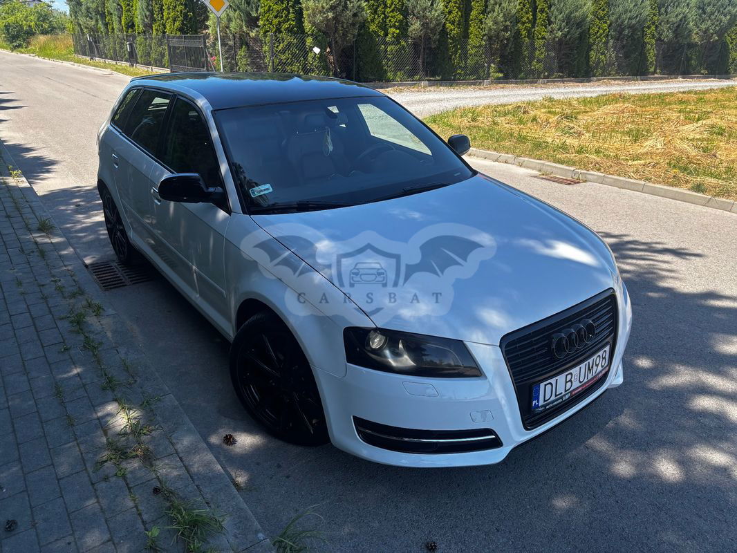 Audi A3 8P 1.6 TDI Sportback Ambition 2010