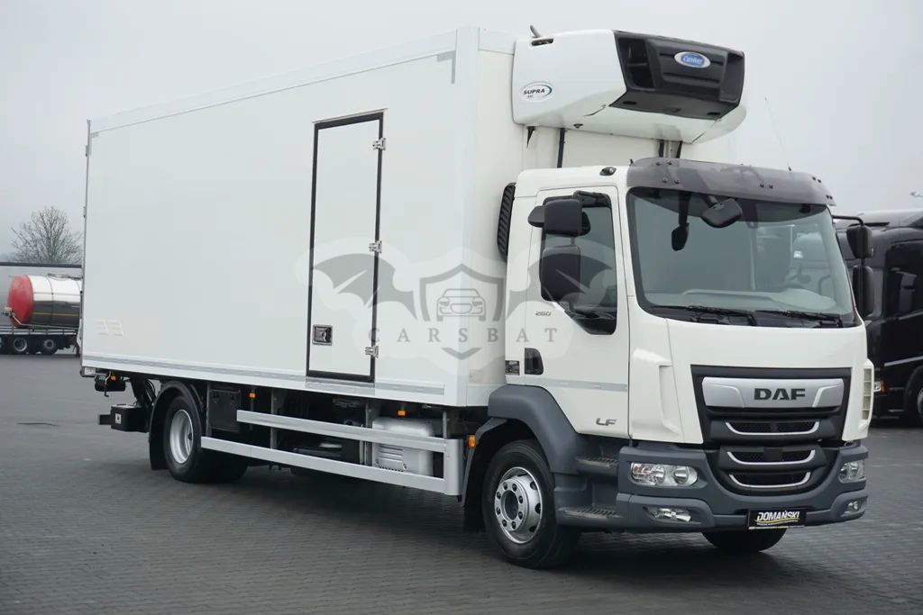 DAF LF 2019