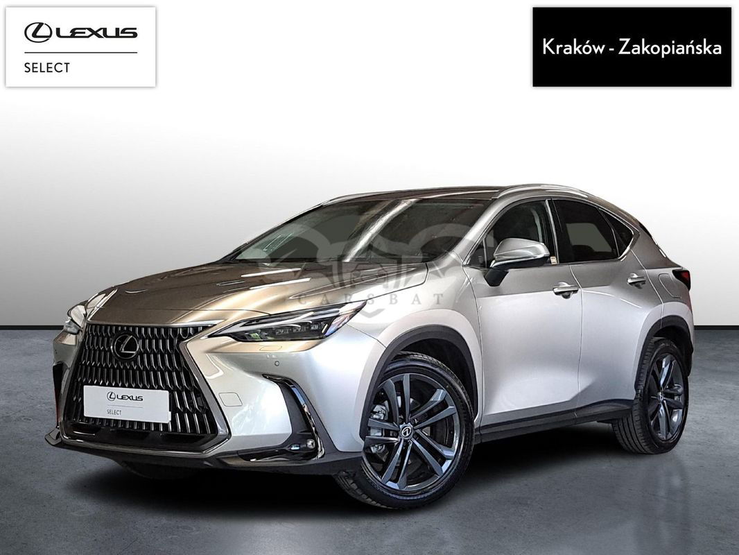 Lexus NX II 2024