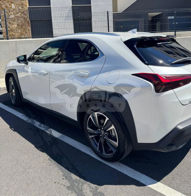 Lexus UX 300h Business 2024