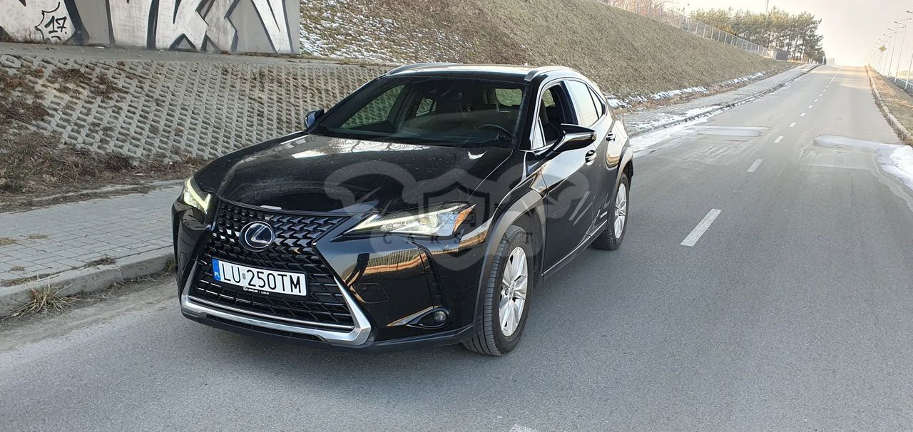 Lexus UX 250h Business Edition 2020