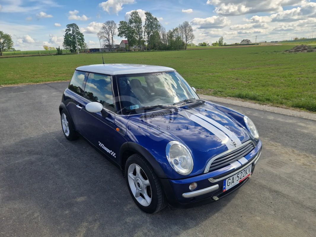 Mini One salt 2003