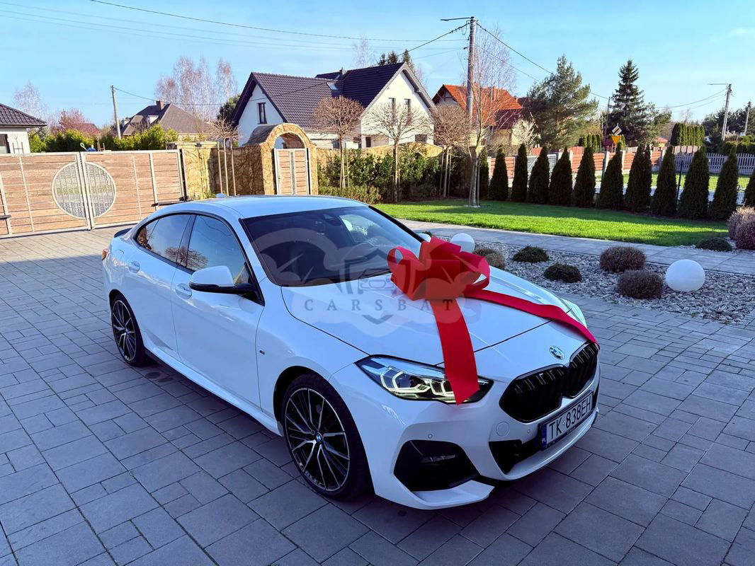 BMW 2 Series 218i M Sport sport 2022