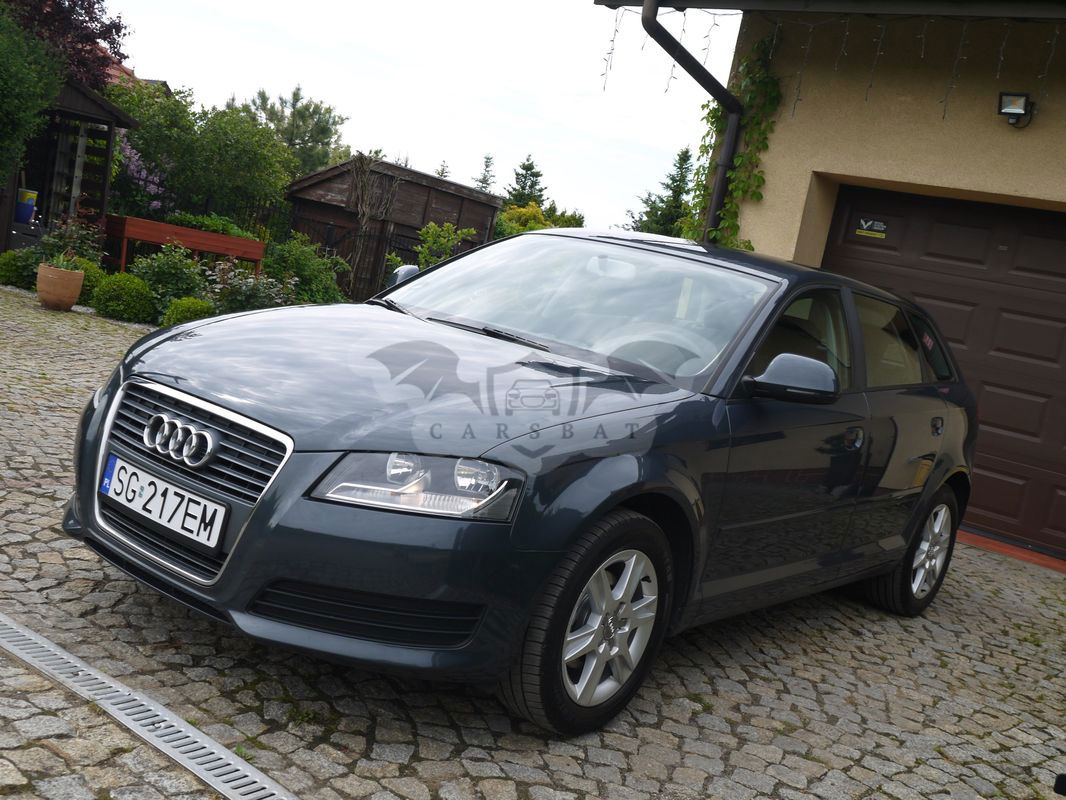 Audi A3 8P 1.6 Attraction 2010