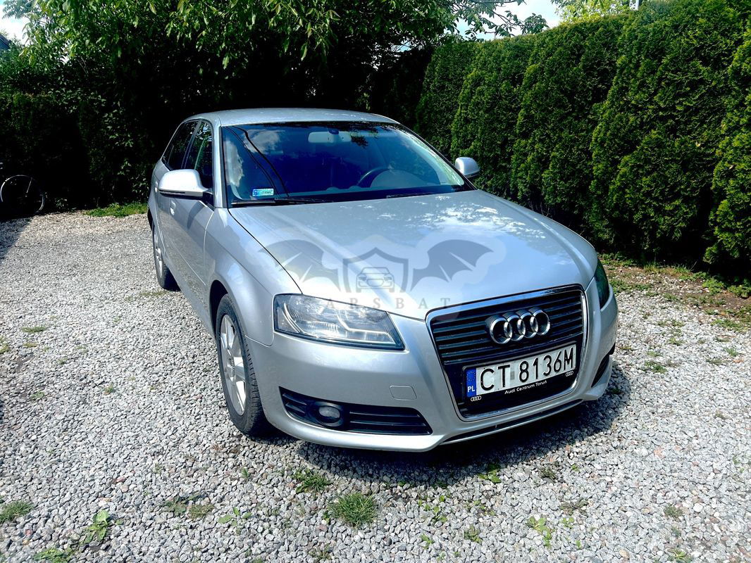 Audi A3 8P 2.0 TDI DPF Quattro Attraction 2009