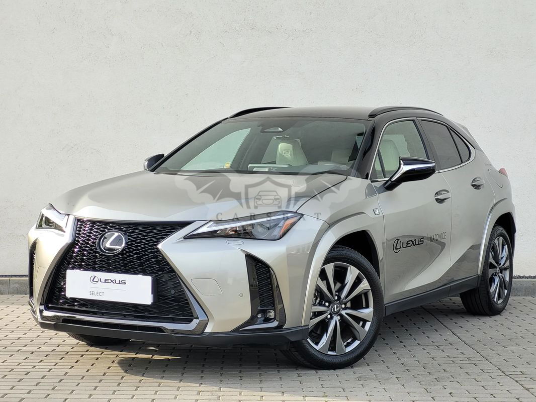 Lexus UX 300h F Sport 2024