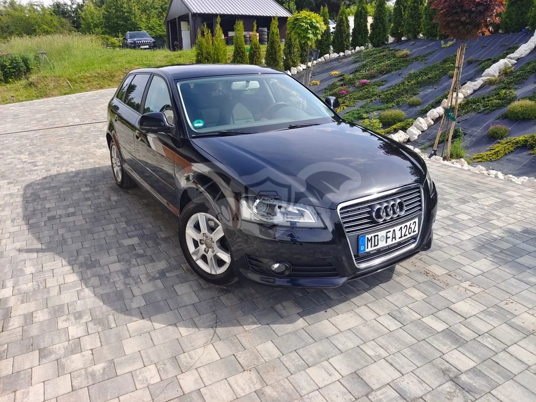 Audi A3 8P 1.6 Attraction 2010