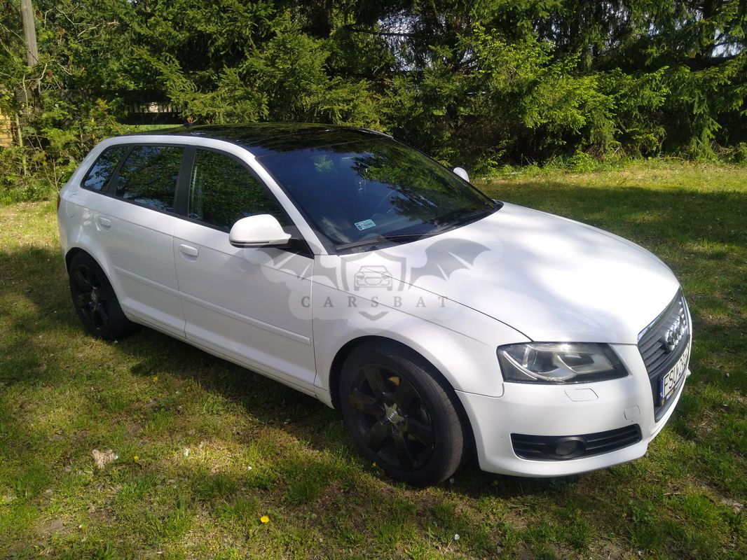 Audi A3 8P 2.0 TDI Sportback DPF S line Sportpaket 2010