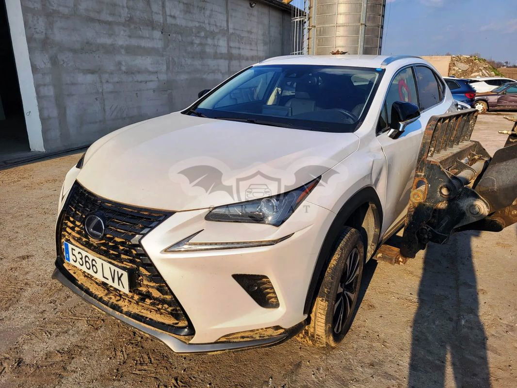 Lexus NX II 300h Elegance 2WD 2021