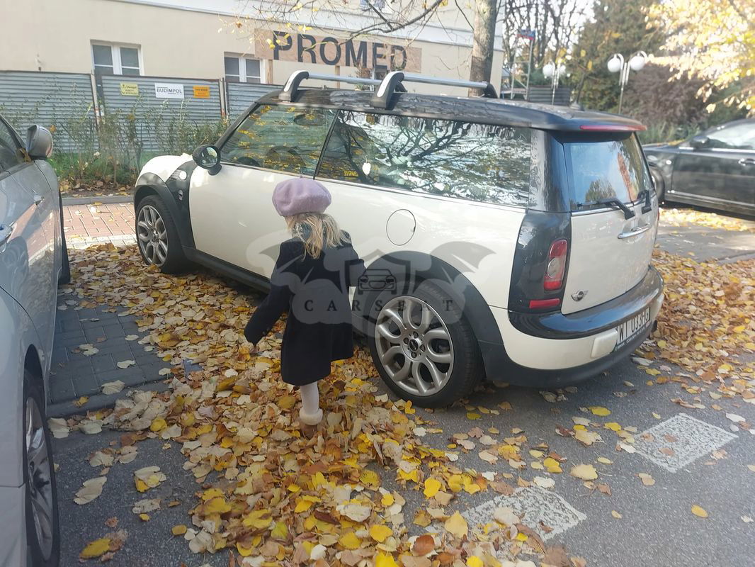Mini Cooper Standard 2008