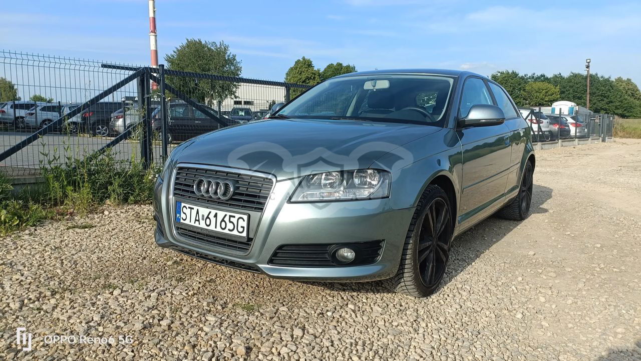 Audi A3 8P 1.6 Ambiente 2010
