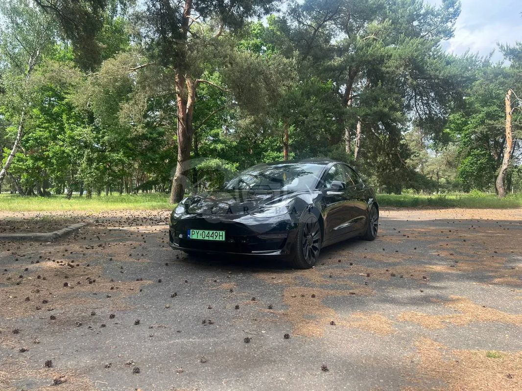 Tesla Model 3 Performance AWD 2021