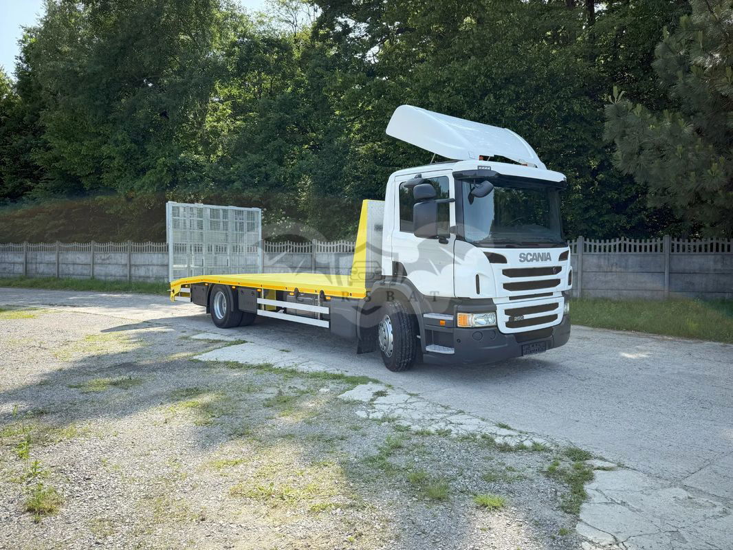 Scania P-series 2013