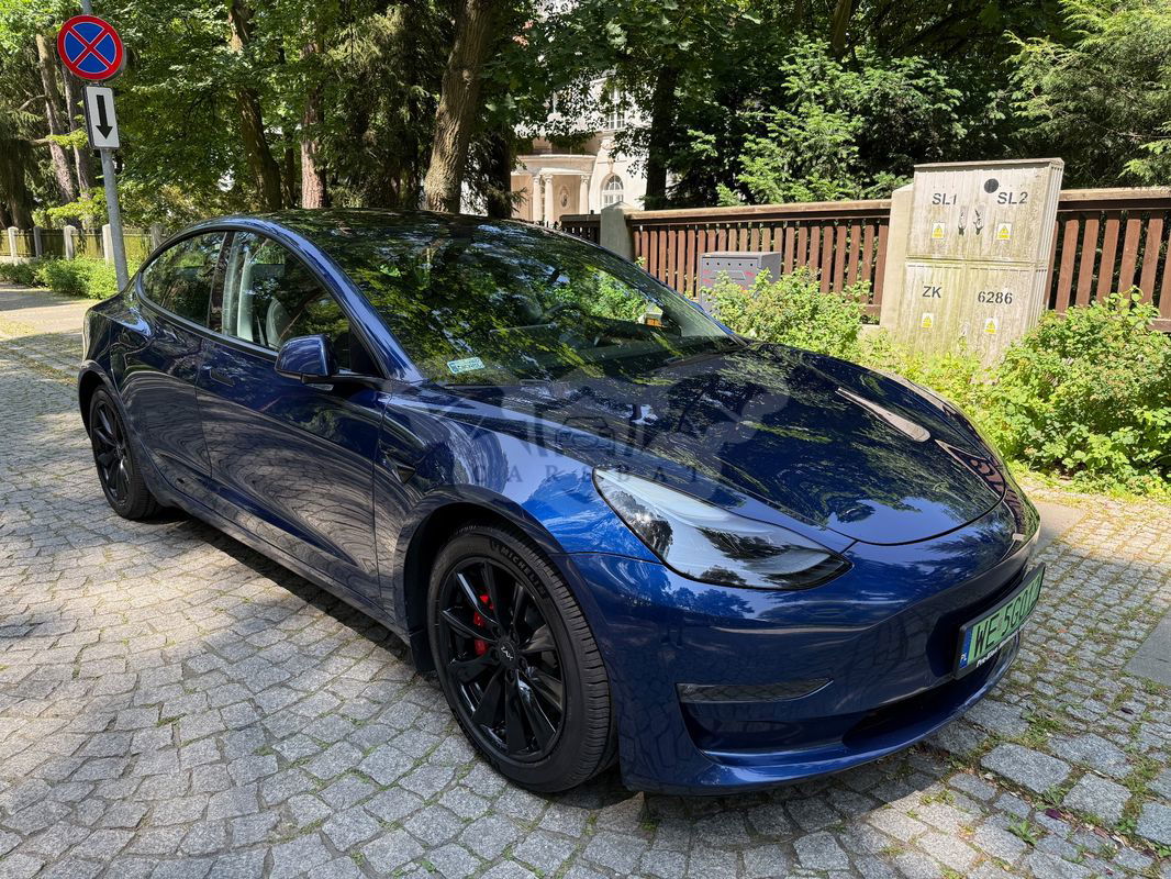 Tesla Model 3 Performance AWD 2021