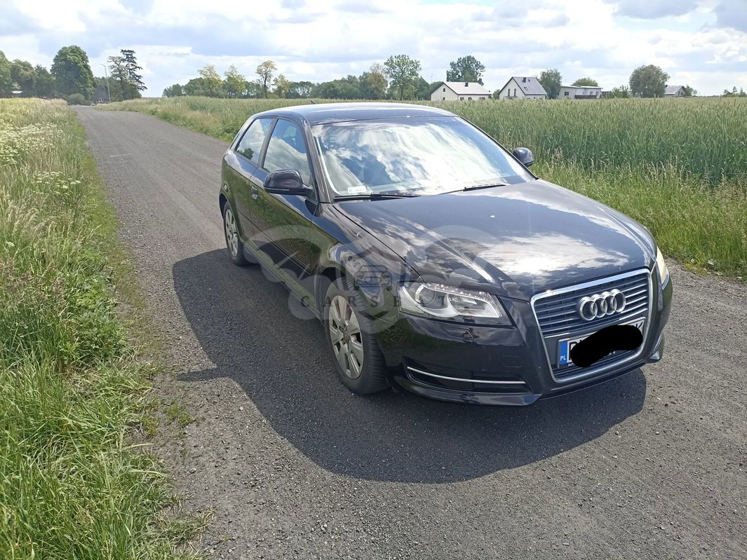 Audi A3 8P 1.6 Ambition 2009