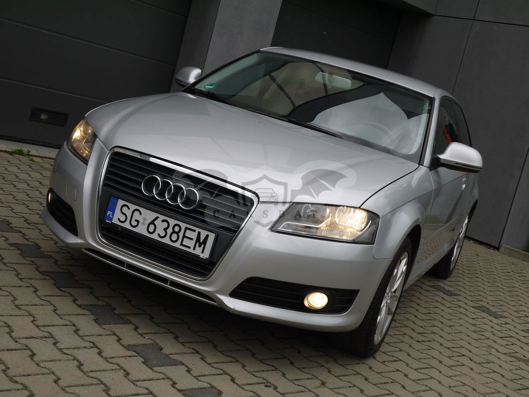 Audi A3 8P 1.6 Ambition 2009