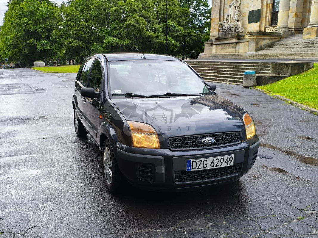 Ford Fusion 1.25 Ambiente 2007