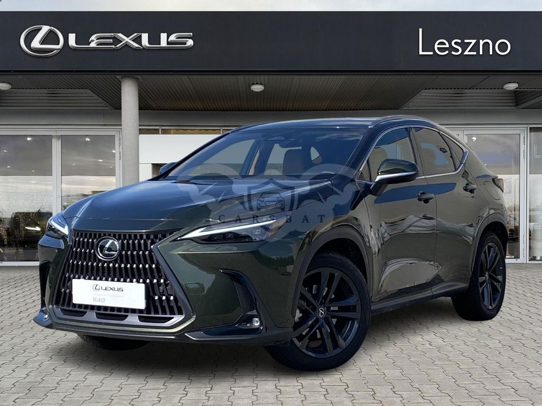 Lexus NX II 2024