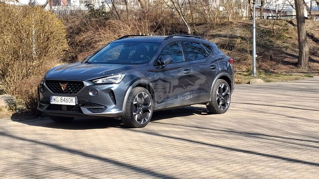 Cupra Formentor 2.0 TSI 4Drive VZ DSG 2020