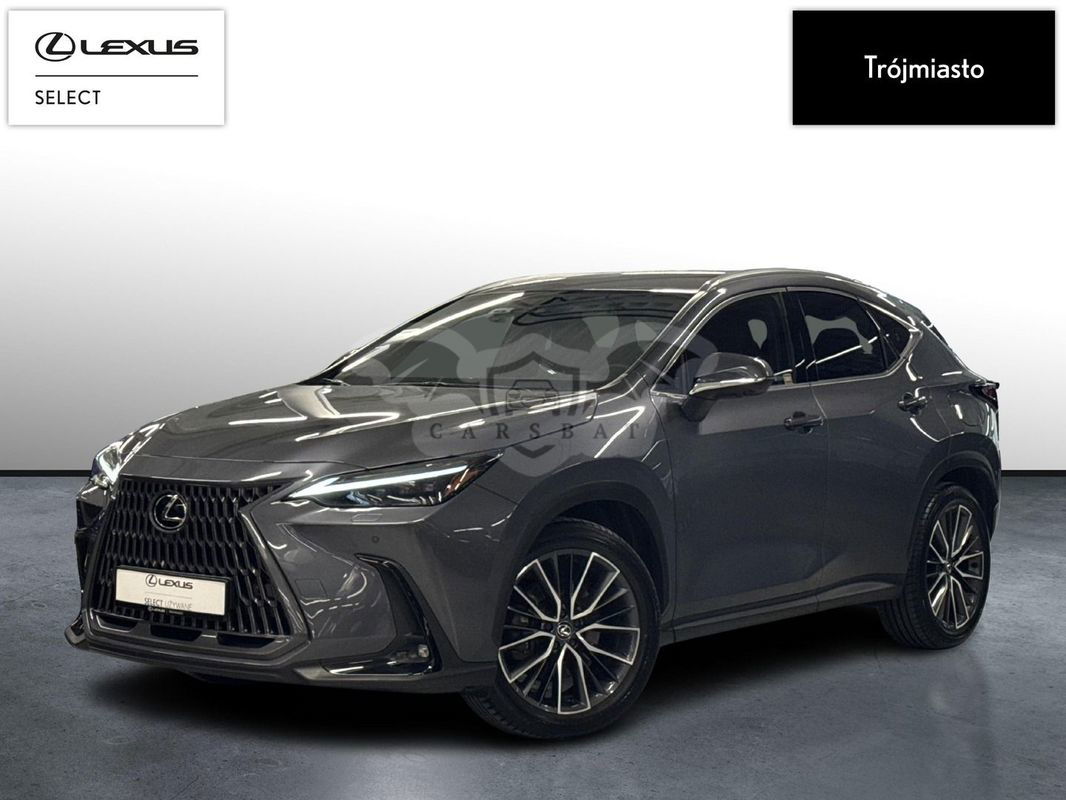 Lexus NX II 2023