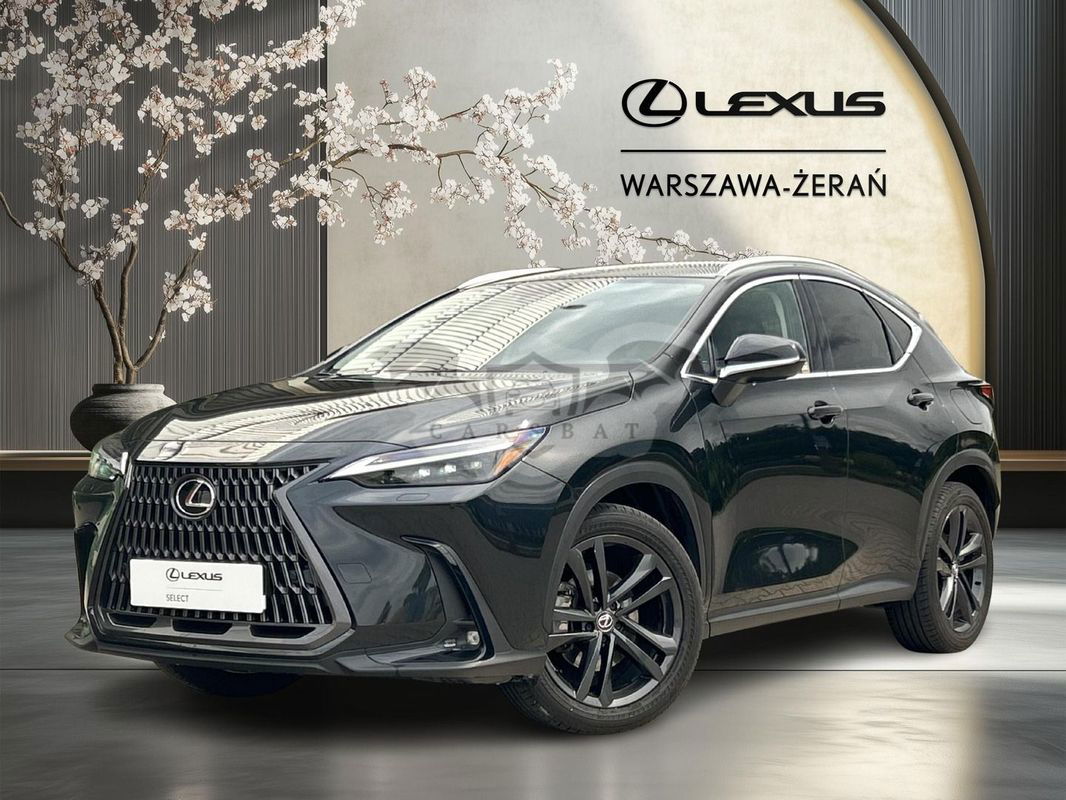 Lexus NX II 2024
