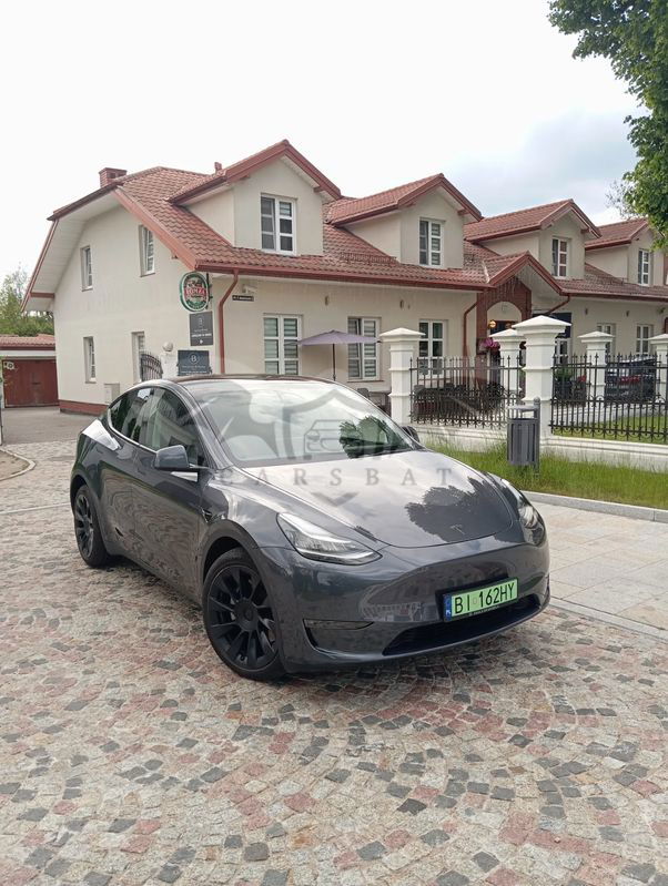 Tesla Model Y Model Performance Dual Motor AWD 2023
