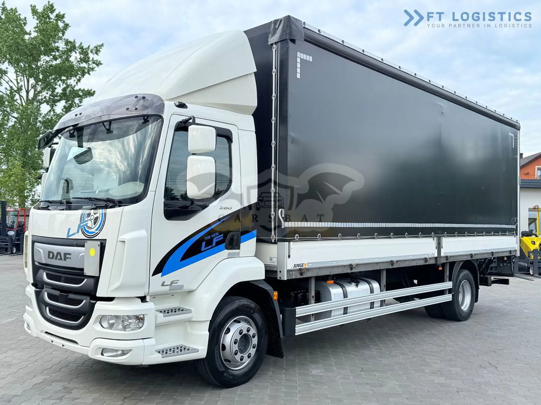 DAF LF 2019